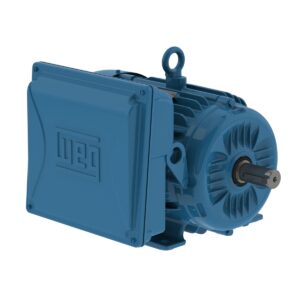 MOTOR ELETRICO WEG 2CV 2P IP-55 MONOFASI